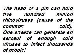 The head of a pin can hold five hundred million rhinoviruses (cause of the common cold).