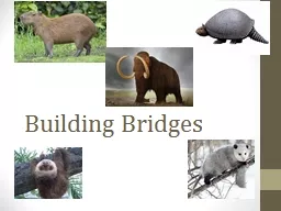 Building Bridges Learning Target