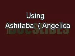 Using  Ashitaba  ( Angelica