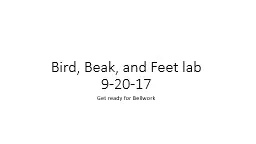 Bird, Beak, and Feet lab