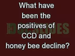 What have been the positives of CCD and honey bee decline?