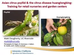 Asian citrus psyllid & the citrus disease huanglongbing: Training for retail nurseries