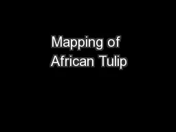 Mapping of African Tulip