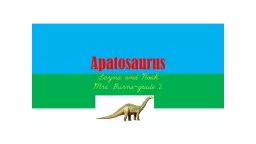 Apatosaurus Layna  and Noah