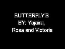BUTTERFLY’S BY: Yajaira, Rosa and Victoria