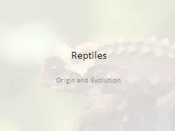 Reptiles Origin and Evolution
