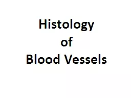 Histology of  Blood Vessels