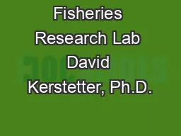 Fisheries Research Lab David Kerstetter, Ph.D.