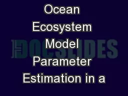 Ocean Ecosystem Model Parameter Estimation in a