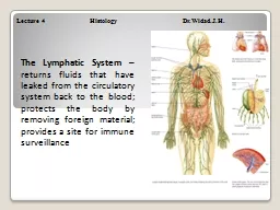 The Lymphatic System  – returns fluids that have leaked from the circulatory system