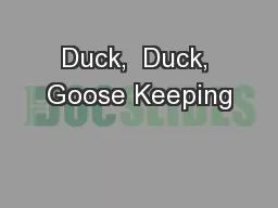 Duck,  Duck, Goose Keeping