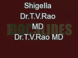 Shigella Dr.T.V.Rao MD Dr.T.V.Rao MD