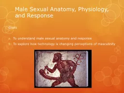 M ale Sexual Anatomy, Physiology, and Response