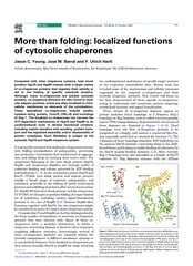 More than folding localized functions of cytosolic cha