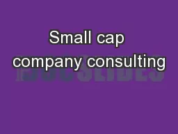 Small cap company consulting