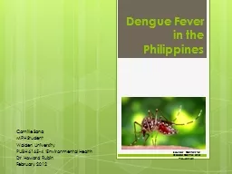 Dengue Fever  in the  Philippines
