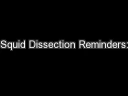 Squid Dissection Reminders: