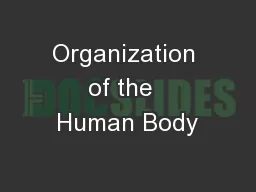 Organization of the  Human Body