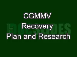 CGMMV Recovery Plan and Research
