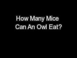 How Many Mice Can An Owl Eat?