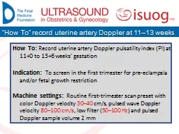 How To:  Record uterine artery Doppler