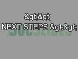 >> NEXT STEPS >>