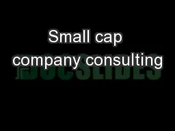 Small cap company consulting