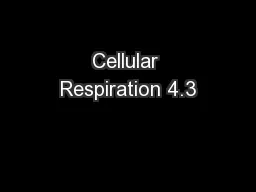 Cellular Respiration 4.3