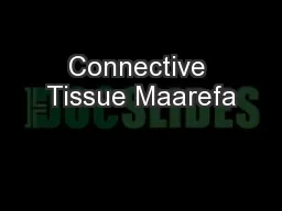 Connective Tissue Maarefa