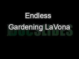 Endless Gardening LaVona