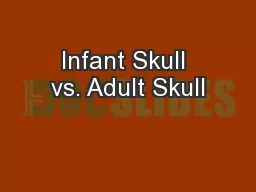Infant Skull vs. Adult Skull