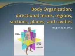 Body Organization:   directional terms, regions, sections, planes, and cavities