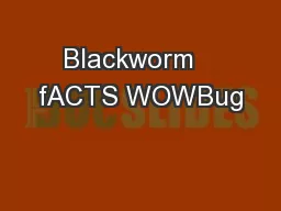 Blackworm   fACTS WOWBug