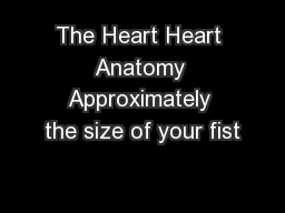 The Heart Heart Anatomy Approximately the size of your fist