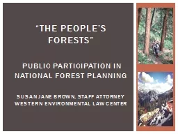“The people’s forests”