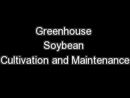 Greenhouse Soybean Cultivation and Maintenance