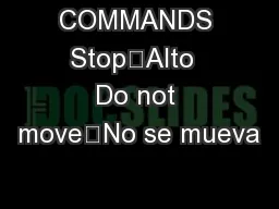COMMANDS Stop	Alto  Do not move	No se mueva