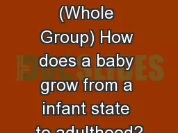 Bellwork  Questio n (Whole Group) How does a baby grow from a infant state to adulthood?