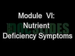Module  VI: Nutrient Deficiency Symptoms