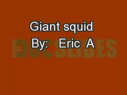 Giant squid By:   Eric  A