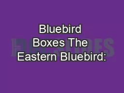 Bluebird Boxes The Eastern Bluebird: