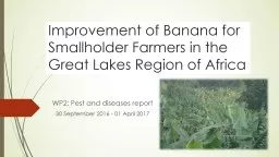 Improvement of Banana for Smallholder Farmers in the Great Lakes Region of Africa