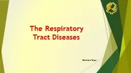 The Respiratory   Tract