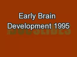 Early Brain Development 1995