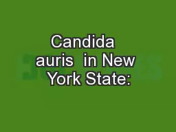 Candida  auris  in New York State: