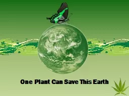 One Plant Can Save This Earth