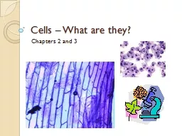 Cells – What are they?