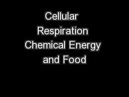 Cellular  Respiration Chemical Energy and Food