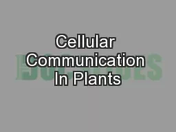 Cellular Communication In Plants