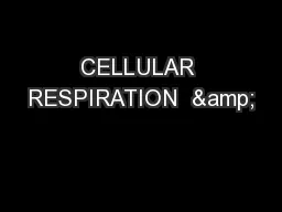 CELLULAR RESPIRATION  &